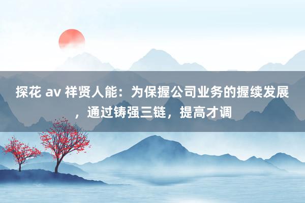 探花 av 祥贤人能：为保握公司业务的握续发展，通过铸强三链，提高才调