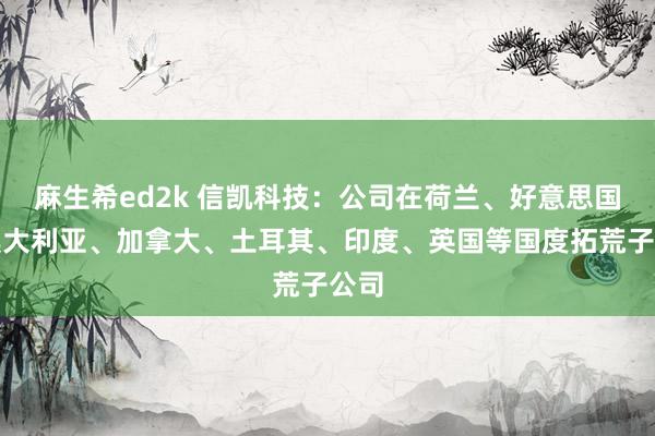 麻生希ed2k 信凯科技：公司在荷兰、好意思国、澳大利亚、加拿大、土耳其、印度、英国等国度拓荒子公司