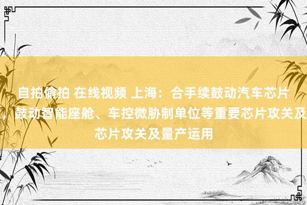 自拍偷拍 在线视频 上海：合手续鼓动汽车芯片研发打破，鼓动智能座舱、车控微胁制单位等重要芯片攻关及量产运用