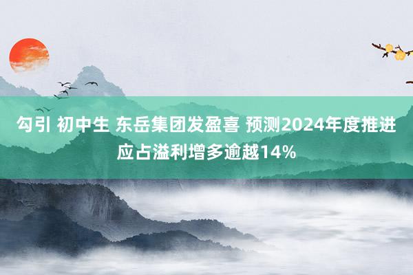 勾引 初中生 东岳集团发盈喜 预测2024年度推进应占溢利增多逾越14%