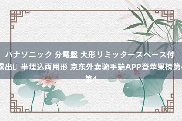 パナソニック 分電盤 大形リミッタースペース付 露出・半埋込両用形 京东外卖骑手端APP登苹果榜第4