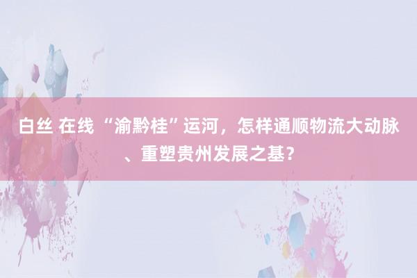 白丝 在线 “渝黔桂”运河，怎样通顺物流大动脉、重塑贵州发展之基？