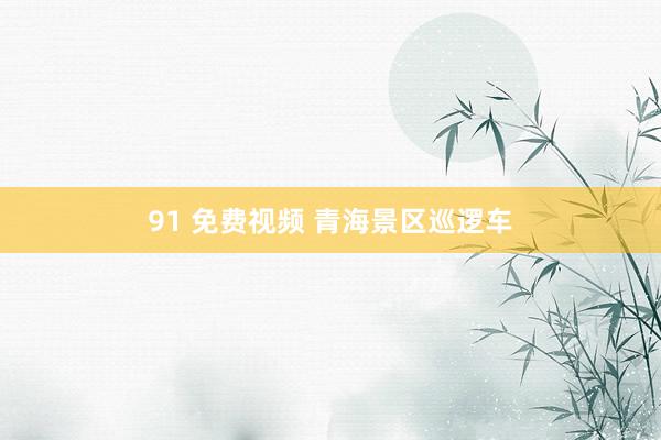 91 免费视频 青海景区巡逻车